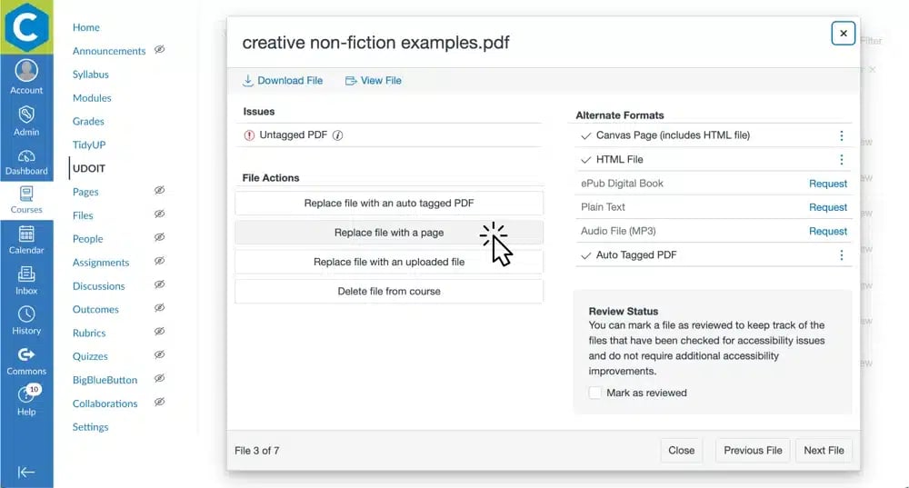 UDOIT Screenshot showing file replacement
